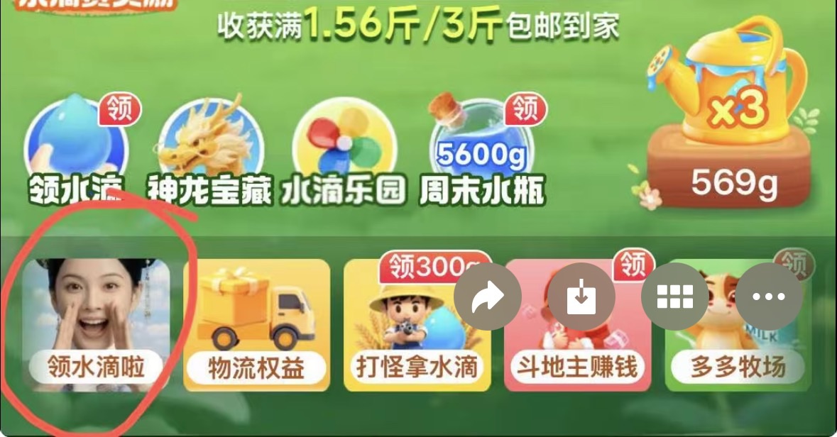图片 2,共 3 张