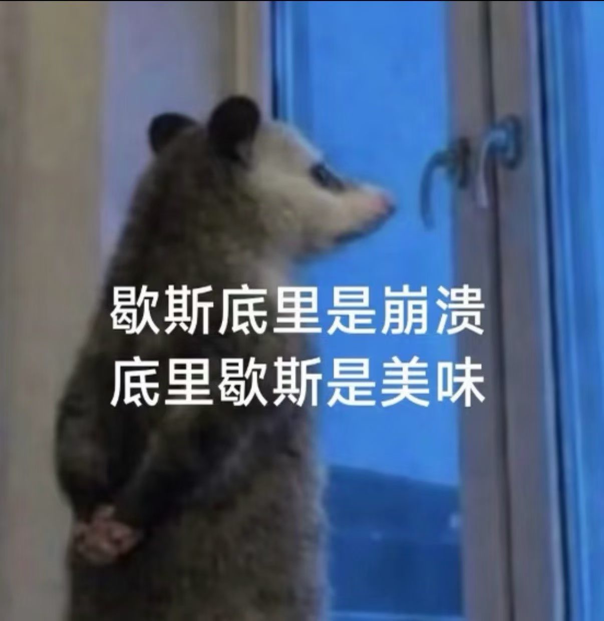 图片 1，共 1 张