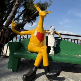 LongPort - 小飞机要上天