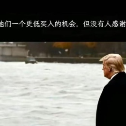 LongPort - 。江江江江江锋