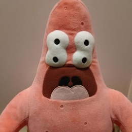 LongPort - 石头下的粉红海星