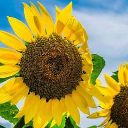 LongPort - 勇敢者_b98nIB