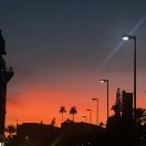 LongPort - 云游小虾米