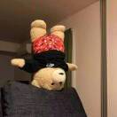 LongPort - Carrousel