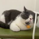 LongPort - Richard_enVIsZ