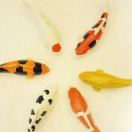 LongPort - W.H_tXqs9x