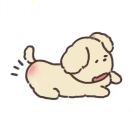 LongPort - MeetStudio摄影