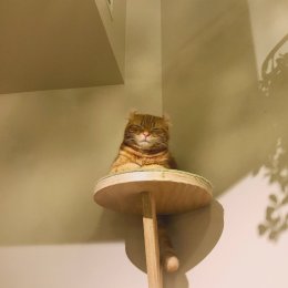 LongPort - 进击的芬达