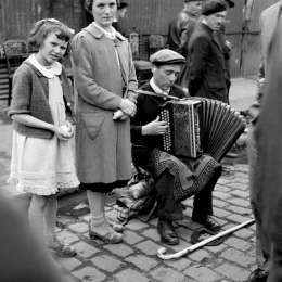 LongPort - 草窠里的猫