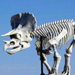 LongPort - 腾飞_P6eV1d