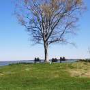 LongPort - az_kC0rOP