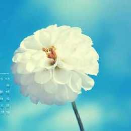 LongPort - 今晚打老美