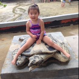 LongPort - 蓝色理想