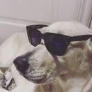 LongPort - hongyuqin