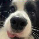 LongPort - 黄金矿工_Vy0Ewi