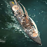 LongPort - Alloy V