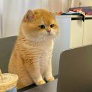 Longbridge - 易_vxyJhq