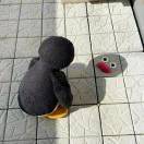 LongPort - 鱼皮汤