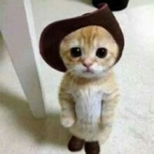 LongPort - 山高不慌