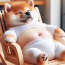 LongPort - tigerinmotion 之天地过客