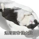 LongPort - Melody_q9Io19