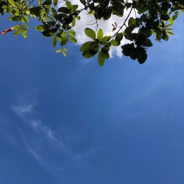 LongPort - 青_bG8ITI