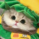 LongPort - 白日梦想家🌟