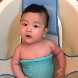 LongPort - 暴躁仙人掌