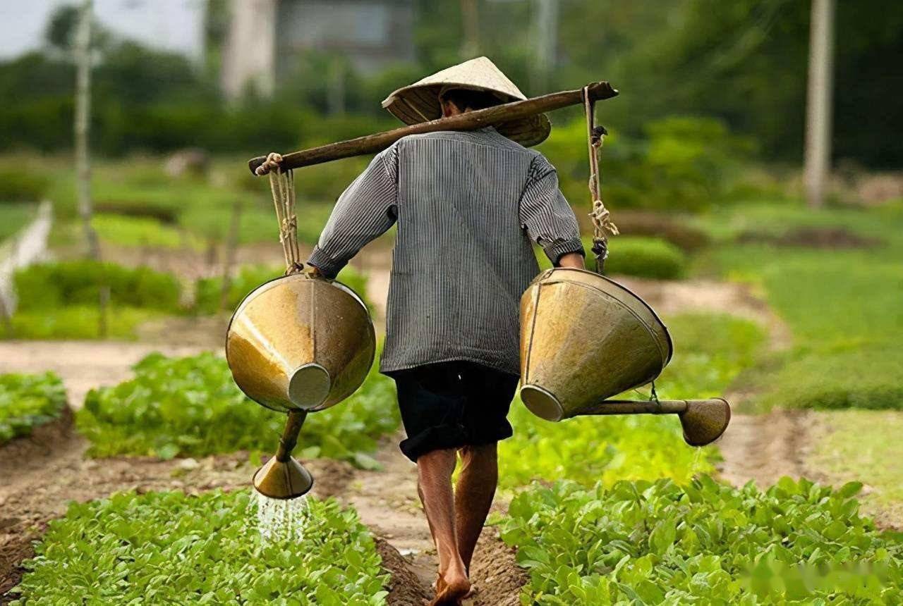 什么是IV Crush？99% 的期权新手都被它坑过- Longbridge